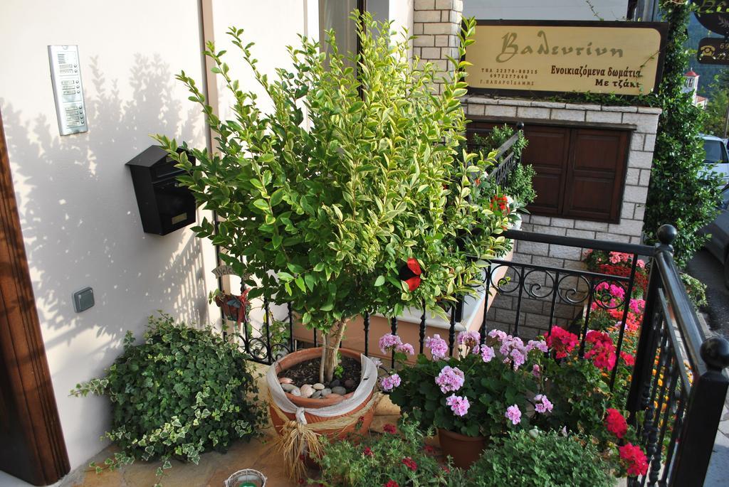 Valentini Guesthouse Karpenísion エクステリア 写真