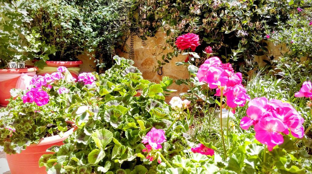 Valentini Guesthouse Karpenísion エクステリア 写真